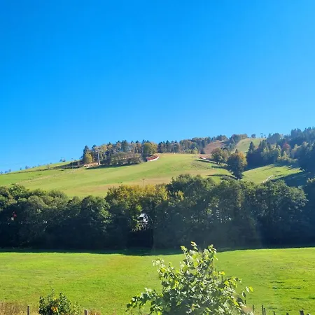 Kleine Auszeit * Willingen